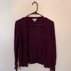 Plum NYC cardigan